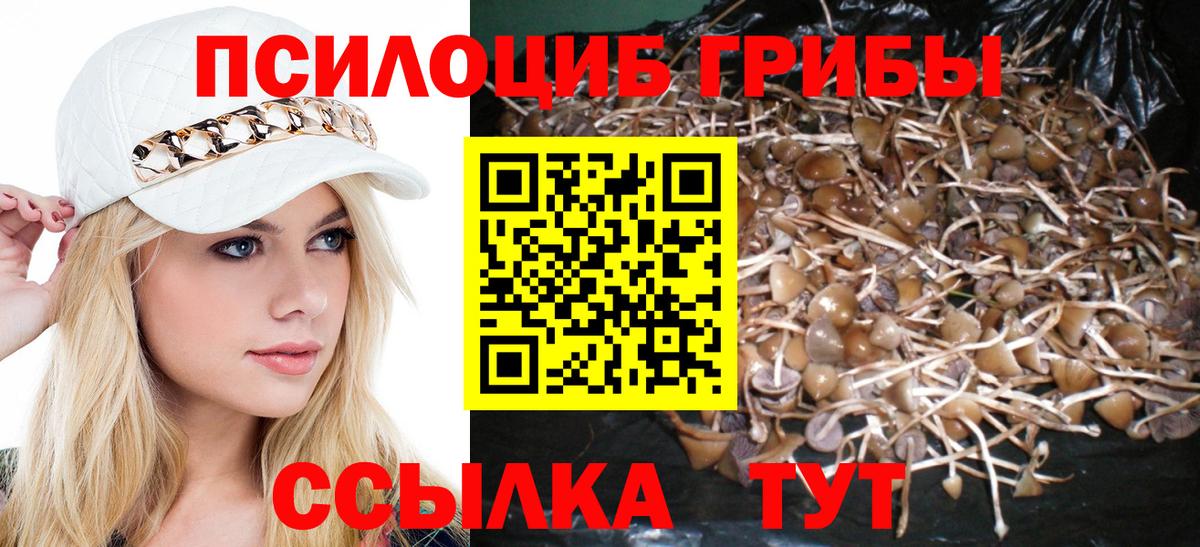 Каменск-Шахтинский  Псилоцибиновые грибы Magic Shrooms  Вход с VPN 